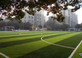 杭州行知小学人造草足球场